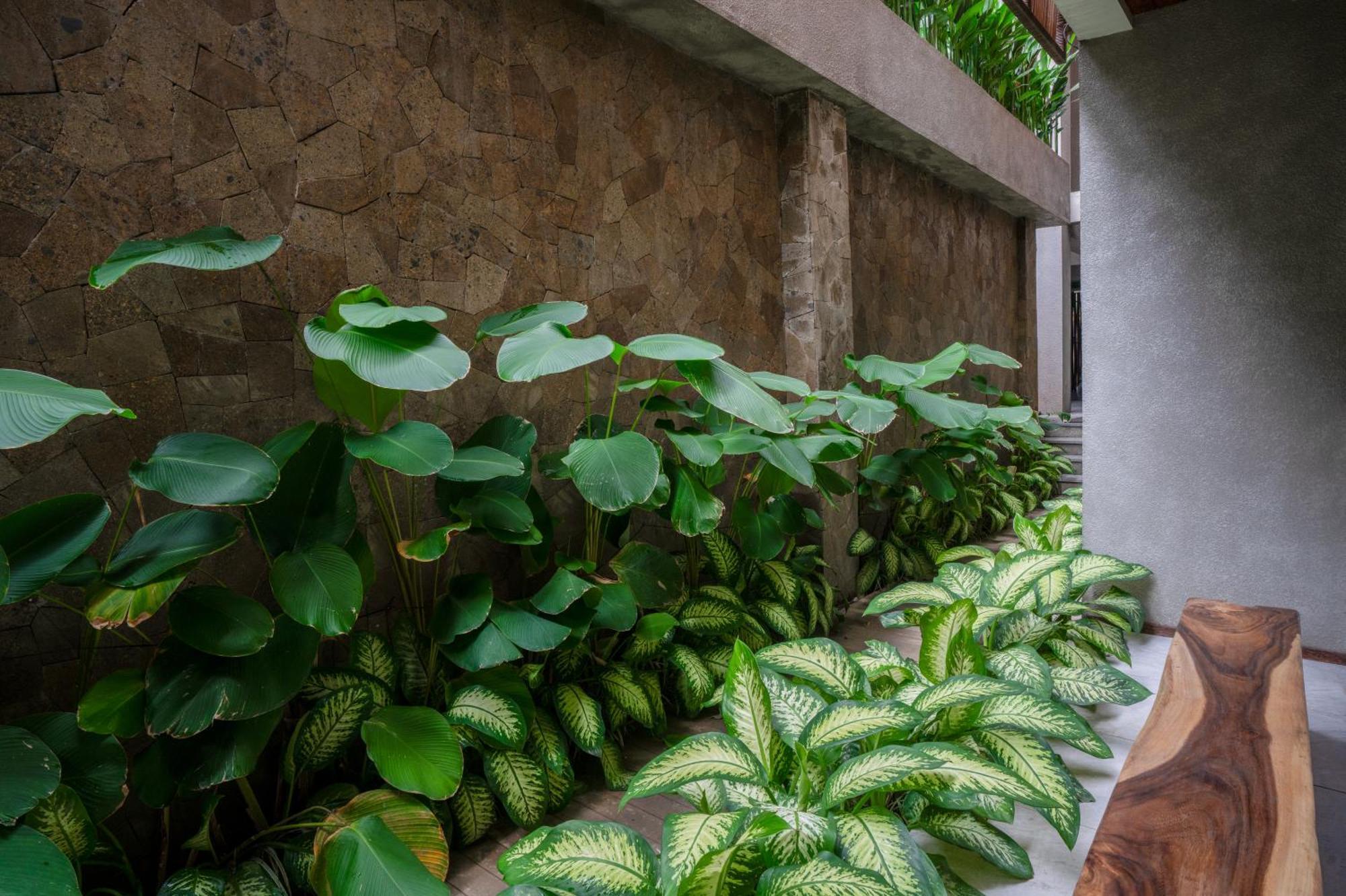 Kammora Living And Villas - Bali Invest Club Canggu  Exterior photo